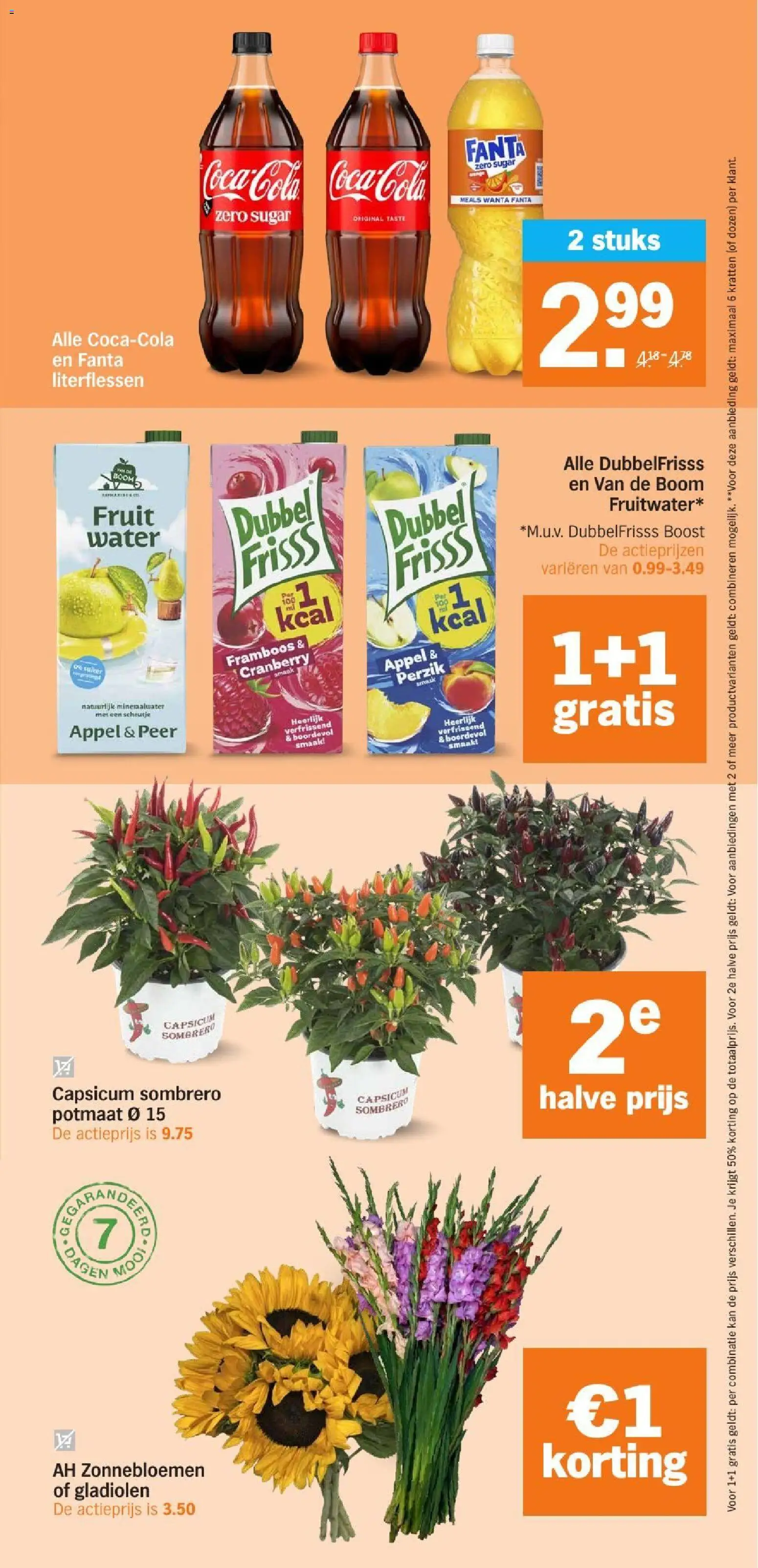 {H1} | Pagina: 31 | Producten: Coca-Cola Zero, Kan, Boost, Peer