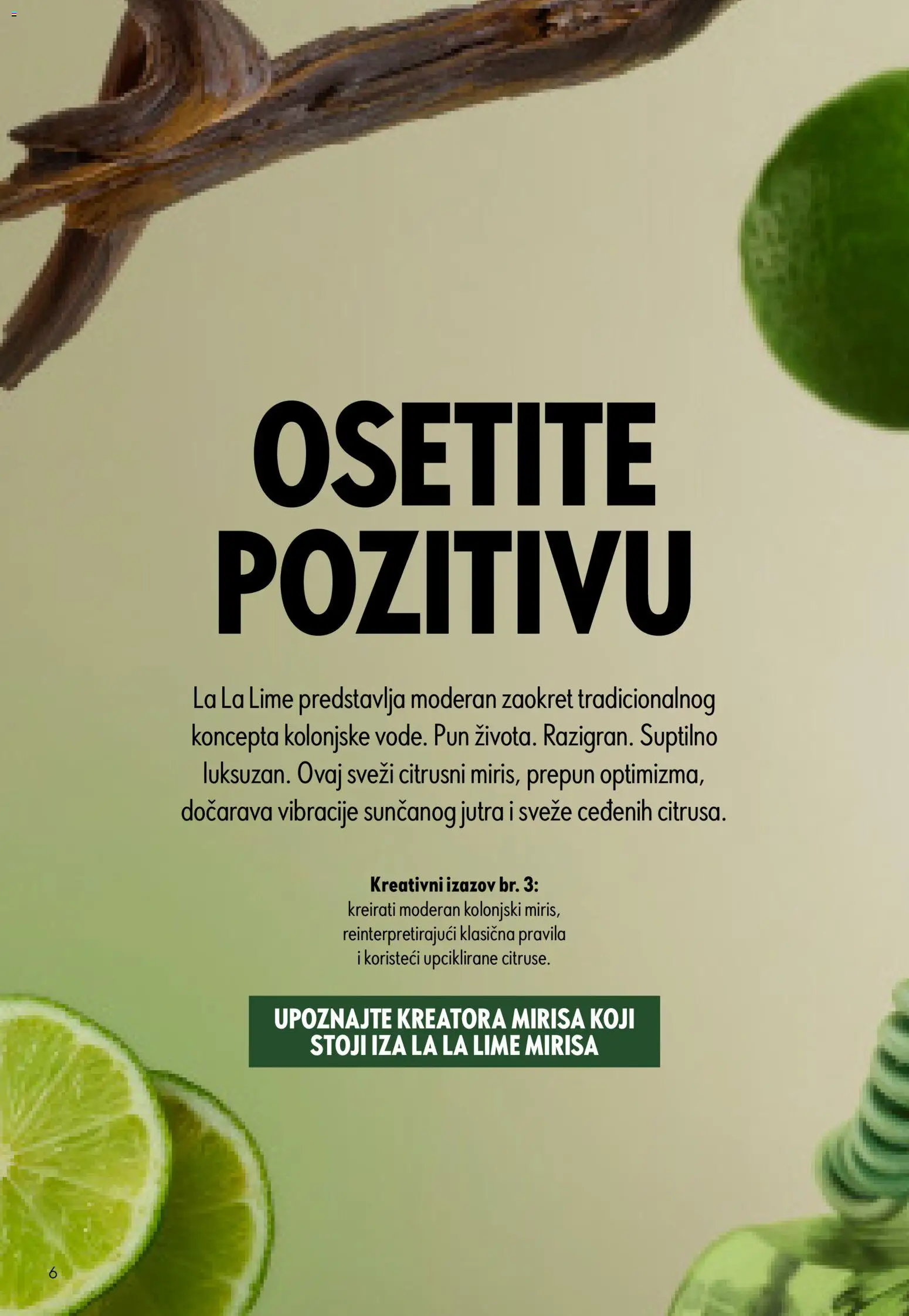 Oriflame katalog - važi od 05.08.2026 | Strana: 6