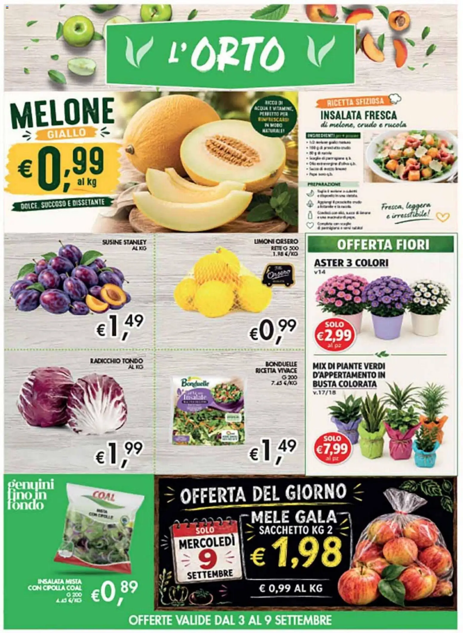 Volantino Coal del 27/08/2026 | Pagina: 3 | Prodotti: Mele, Cipolla, Fiori, Susine