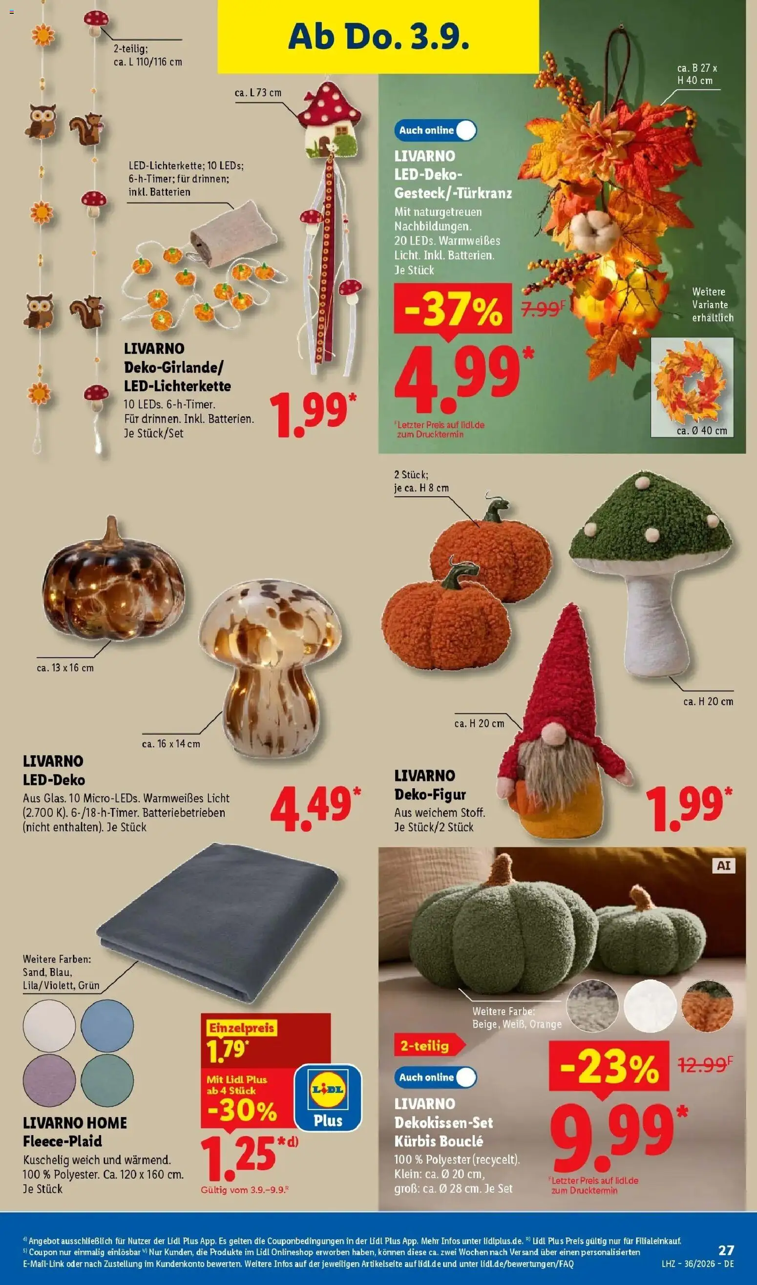 Lidl Prospekt Wahlstedt (ab 31.08.2026) zum Blättern » Angebote | Seite: 45 | Produkte: Batterien, String, Kürbis