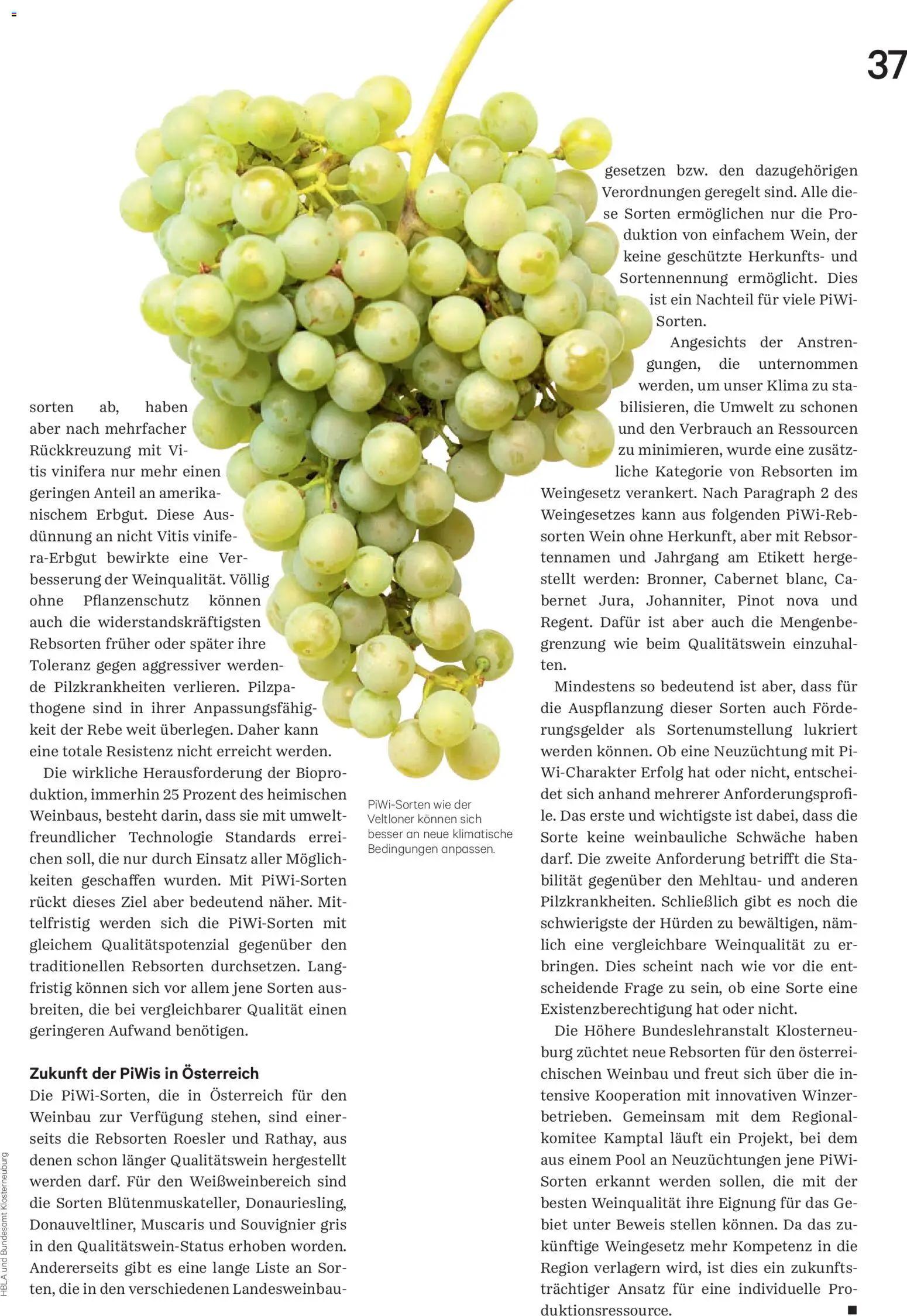 Lagerhaus Unser Land Juli - August 2026 gültig ab 01.07.2026 | Seite: 37 | Produkte: Wein