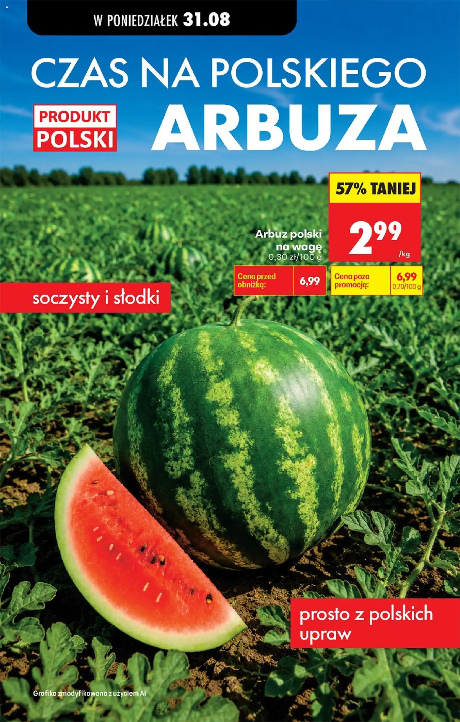 Biedronka gazetka od poniedziałku od 31.08.2026 | Strona: 109