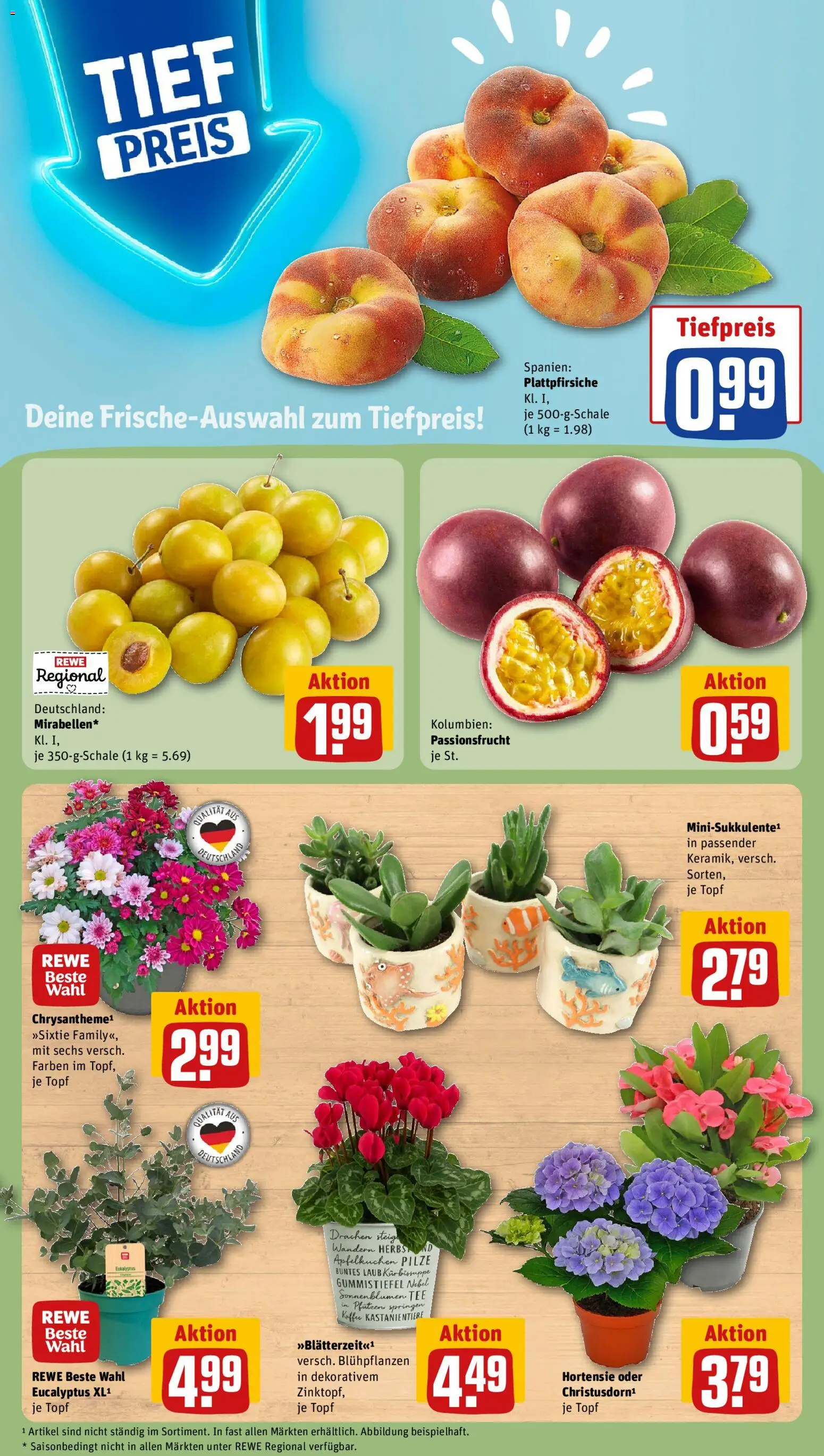 Rewe ihr Kaufpark Prospekt – gültig ab 24.08.2026 | Seite: 7