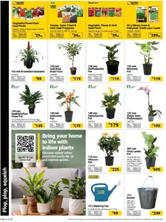 Builders specials catalogue – valid from 15/09/2026 | Page: 2