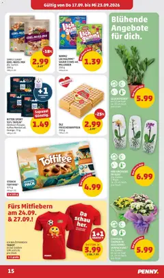 Penny Markt - Flugblatt ab 17.09.2026 gültig | Seite: 15