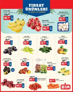 22.05.2026 tarihinden itibaren geçerli olan BİM kataloğu önizlemesi