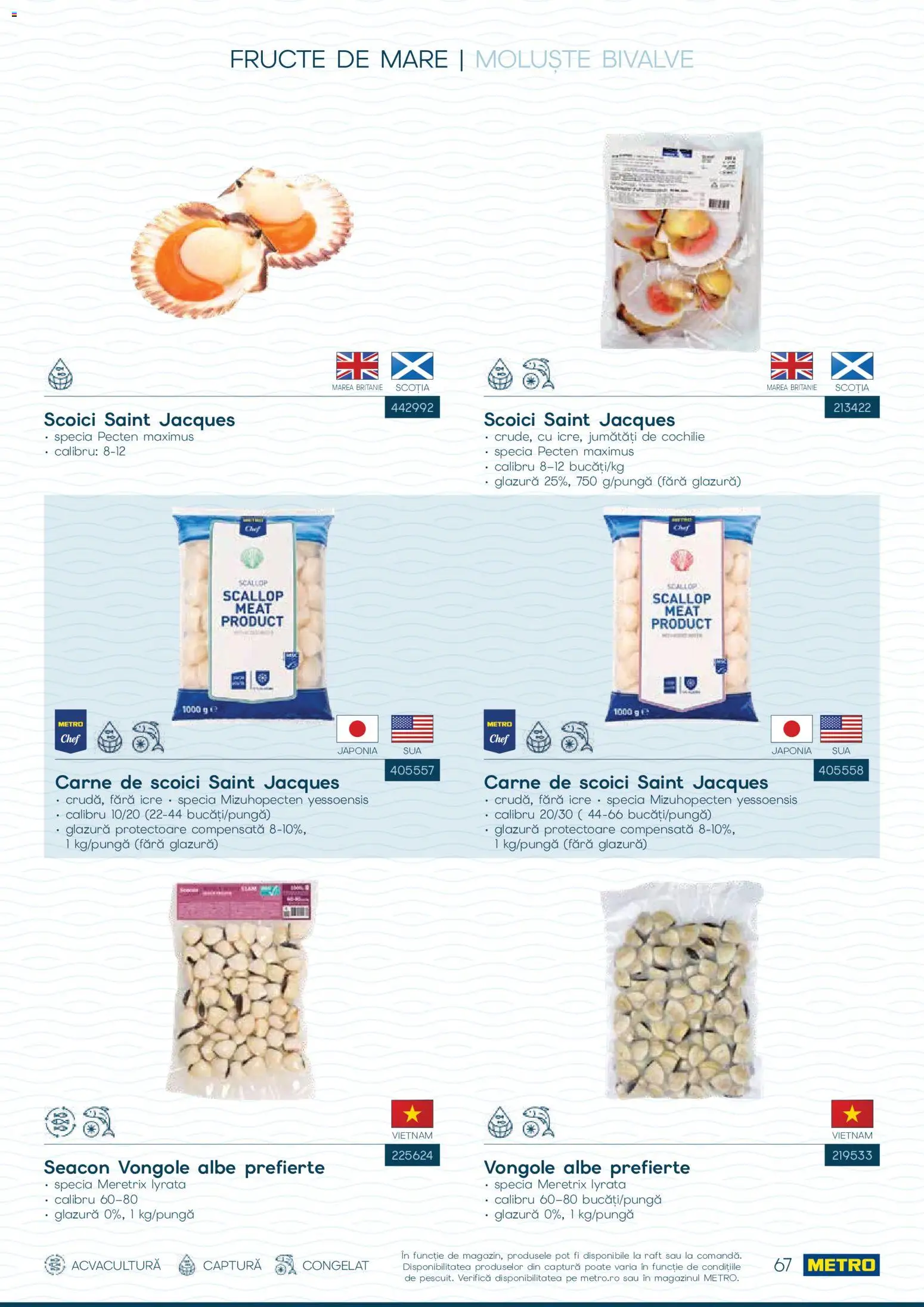 Noul catalog Metro – valabil de la 01.10.2026 | Pagină: 67 | Produse: Raft, Fructe, Fructe De Mare