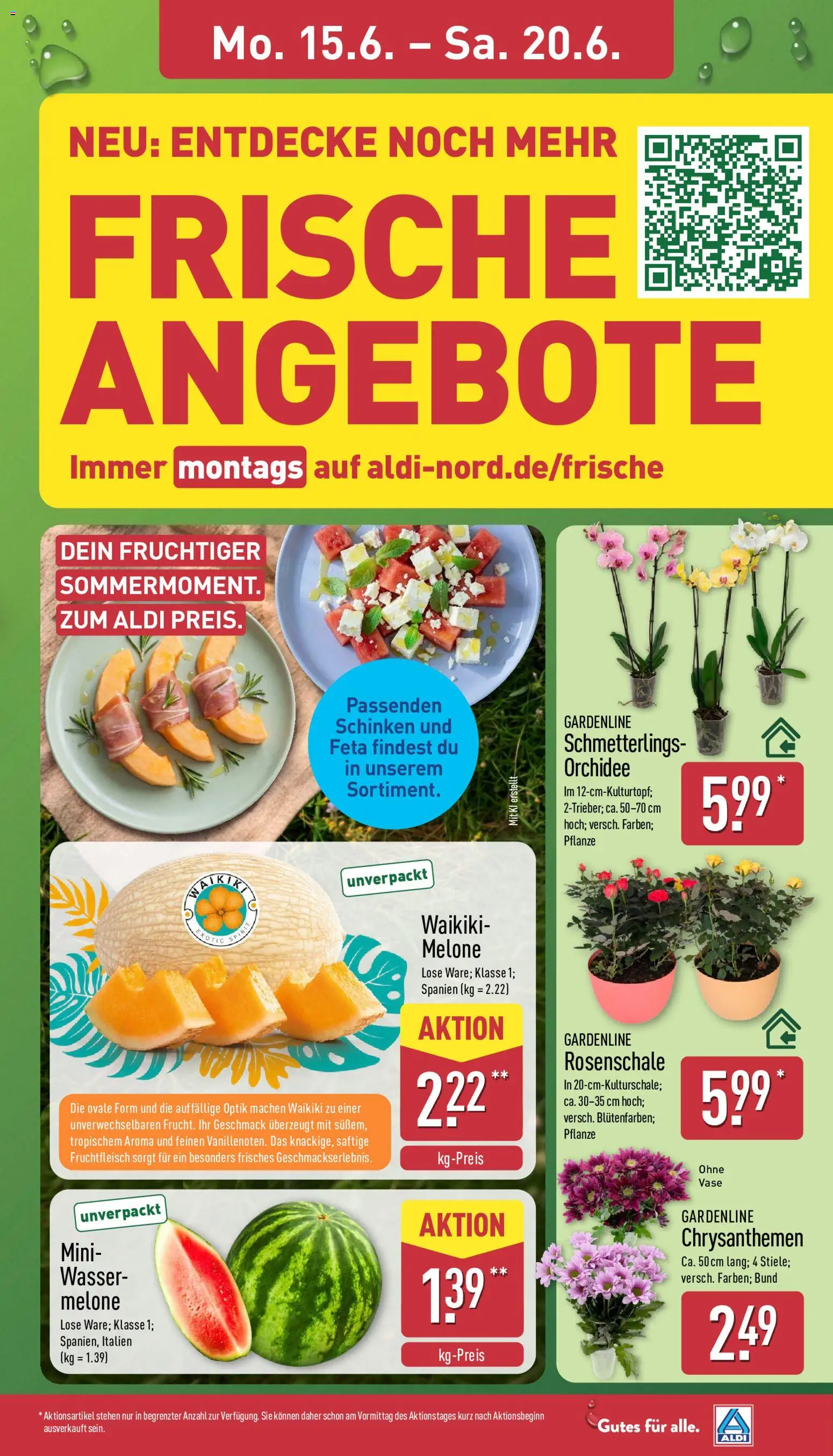 Aldi Prospekt – gültig ab 15.06.2026 | Seite: 7 | Produkte: Orchidee, Vase, Wasser, Melone
