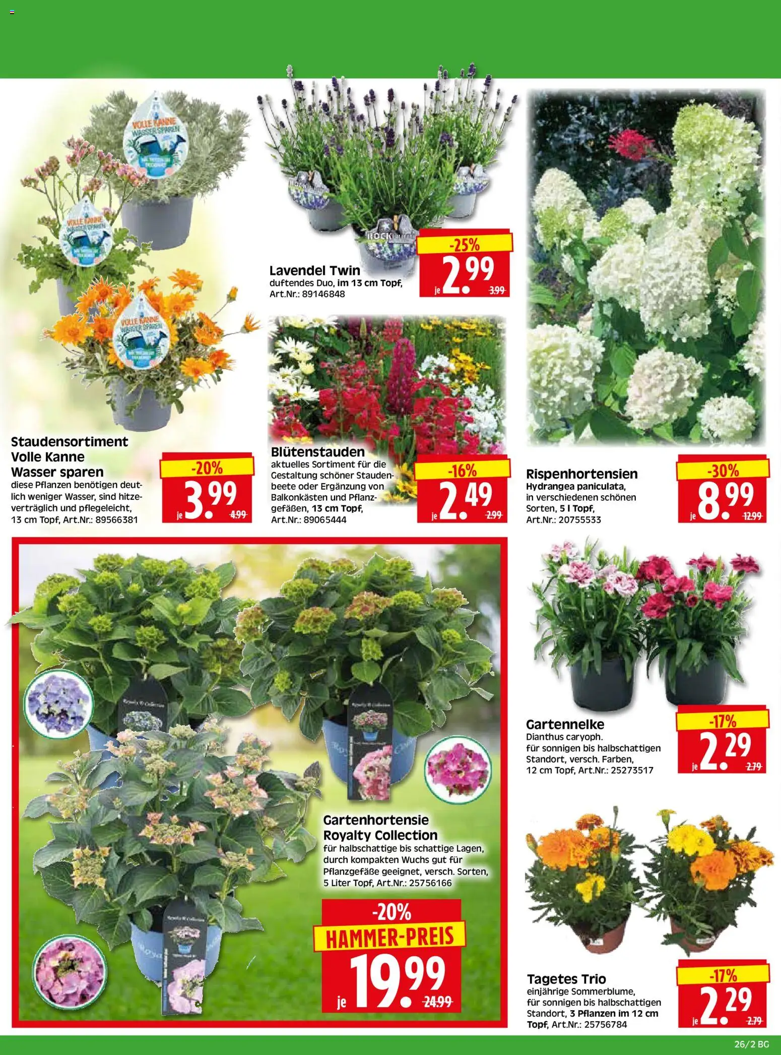 HERKULES Bau & Garten – gültig ab 22.06.2026 | Seite: 2 | Produkte: Wasser, Lavendel