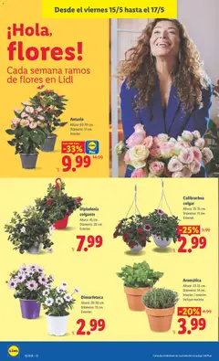 Vista previa Lidl folleto válido desde el 11.05.2026 | Página: 40