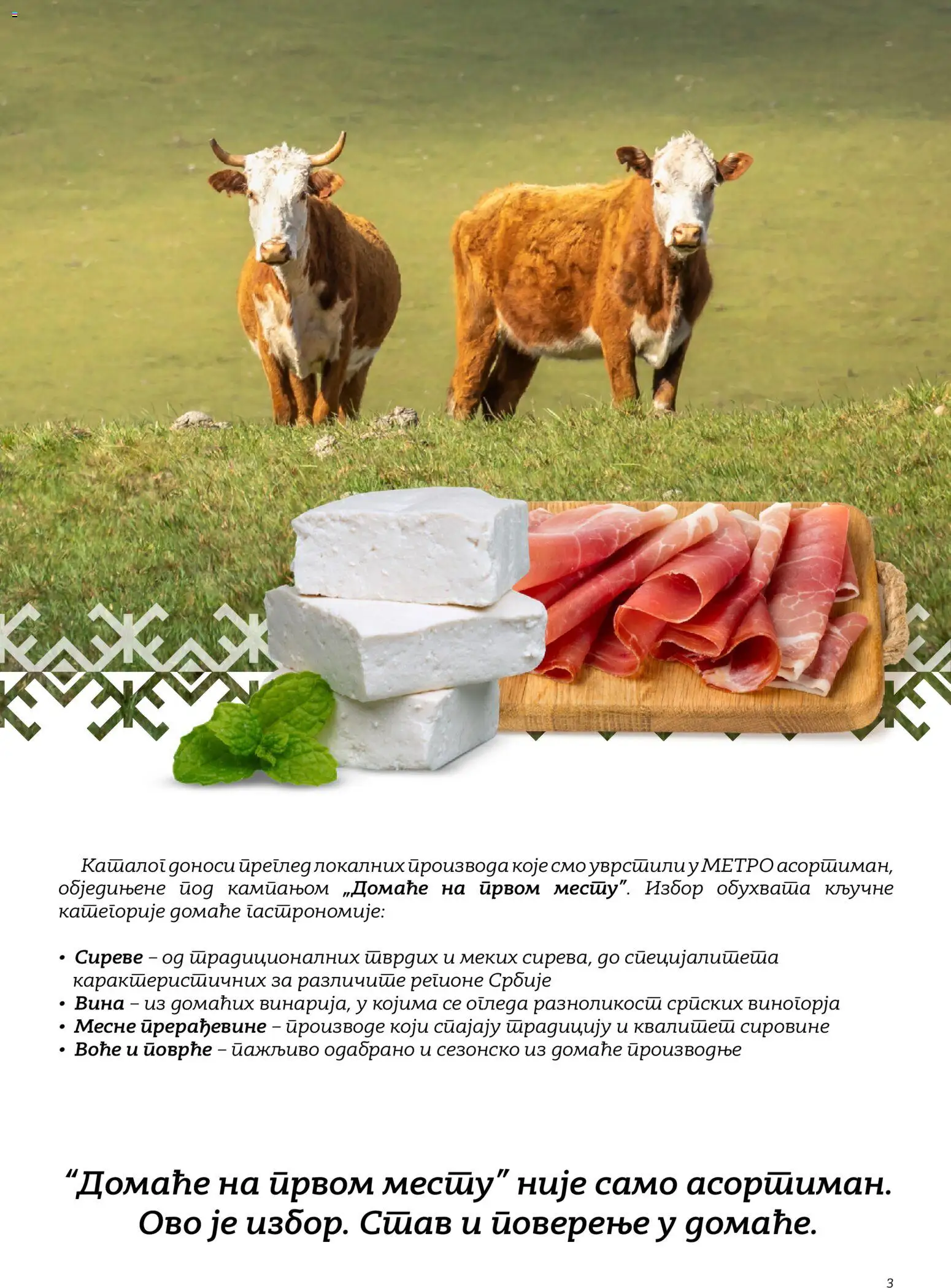 Metro katalog - važi od 02.10.2026 | Strana: 3