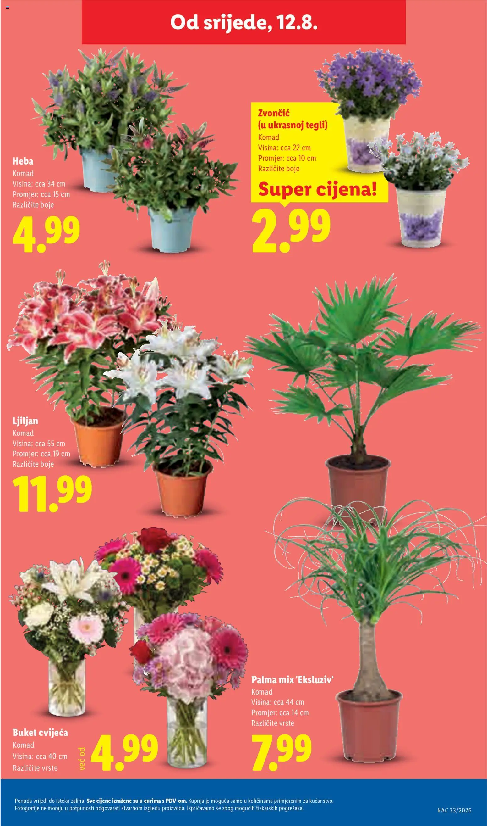 Lidl katalog | vrijedi od 10.08.2026 | Stranica: 51
