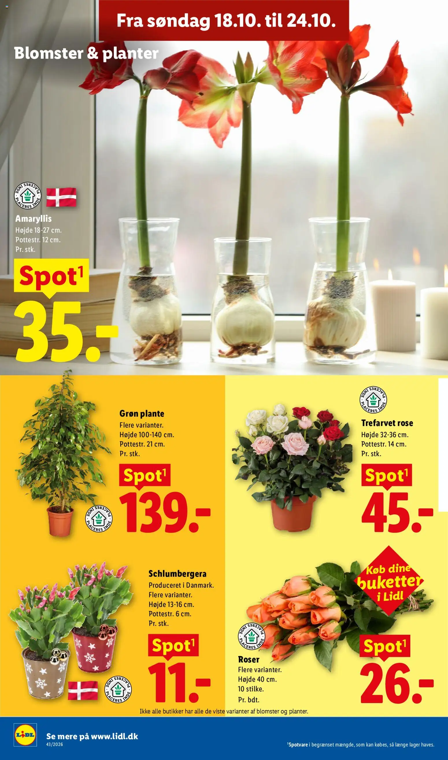 Lidl tilbudsavis – gyldig fra 18/10/2026 | Side: 35 | Produkter: Søm