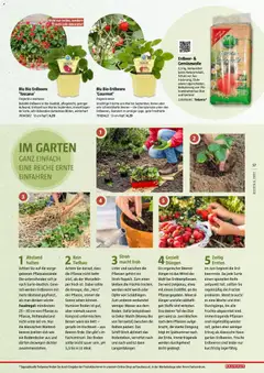 Bauhaus Reiche Ernte ab 25.05.2026 gültig | Seite: 57 | Produkte: Erdbeeren, Wasser, Obst, Bett