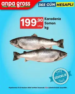 17.06.2026 tarihinden itibaren geçerli olan Anpa Gross kataloğu önizlemesi