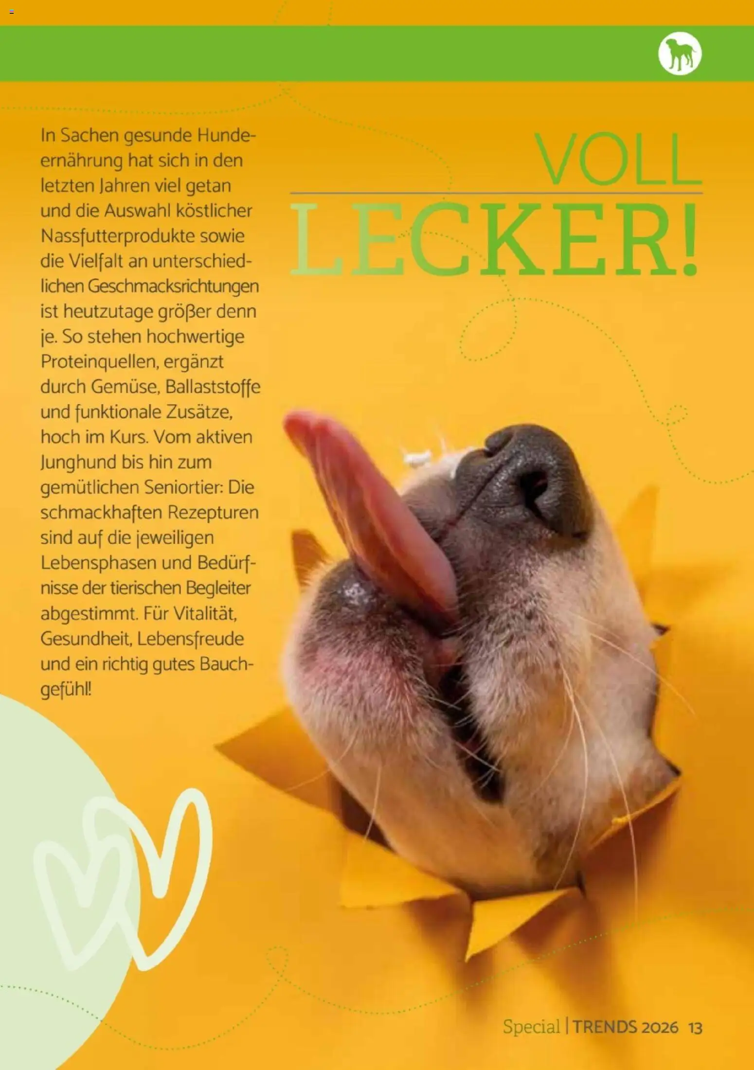 zookauf Heimtier Journal Special – gültig ab 01.08.2026 | Seite: 13