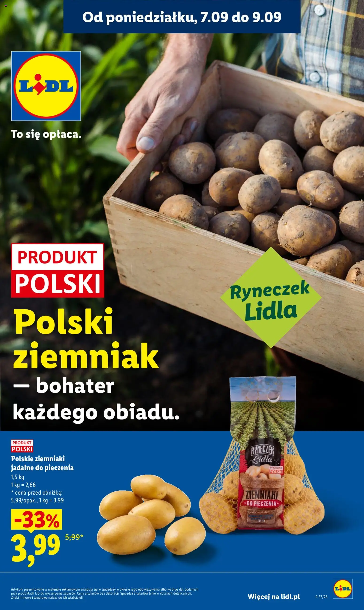 Lidl Polsko leták od 07.09.2026 | Strana: 31