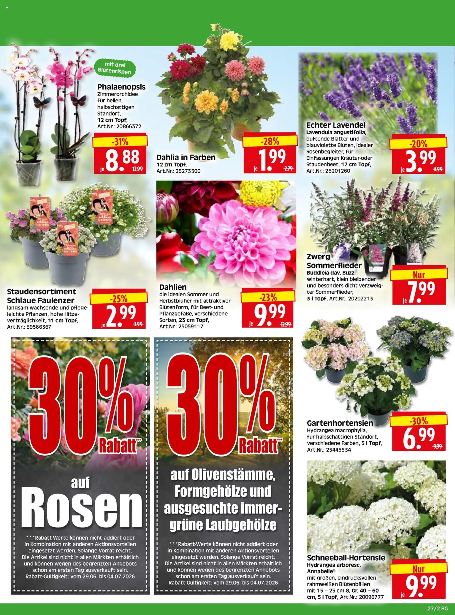 HERKULES Bau & Garten – gültig ab 29.06.2026 | Seite: 2 | Produkte: Lavendel