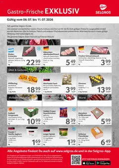 Selgros Gastro Angebote ab 06.07.2026 gültig
