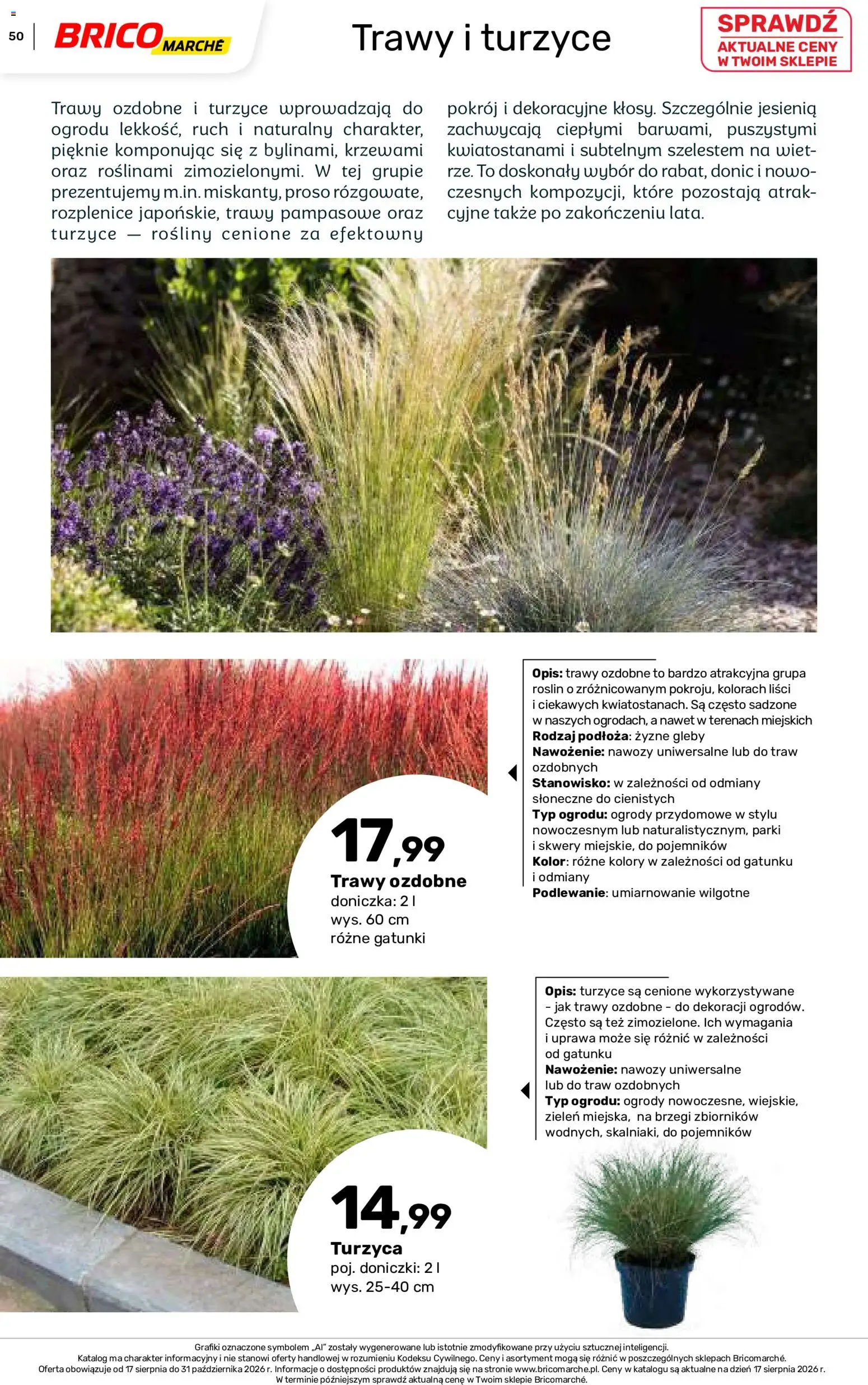 Brico Marché gazetka - Jesienne Inspiracje od 17.08.2026 | Strona: 50 | Produkty: Trawy, Doniczka, Rosliny, Doniczki