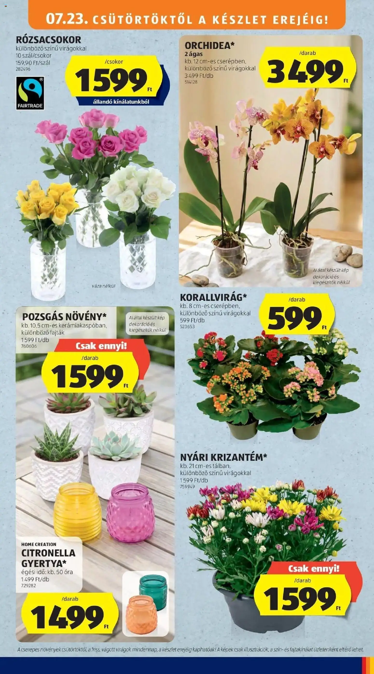 Aldi akciós ujság - amely érvényes a következő dátumtól: 2026.07.18. | Oldal: 45 | Termékek: Virágok, Váza, Óra, Dekoráció