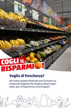 Anteprima del volantino Melone, Fresh melons valido a partire dal 12/01/2026 | Pagina: 63