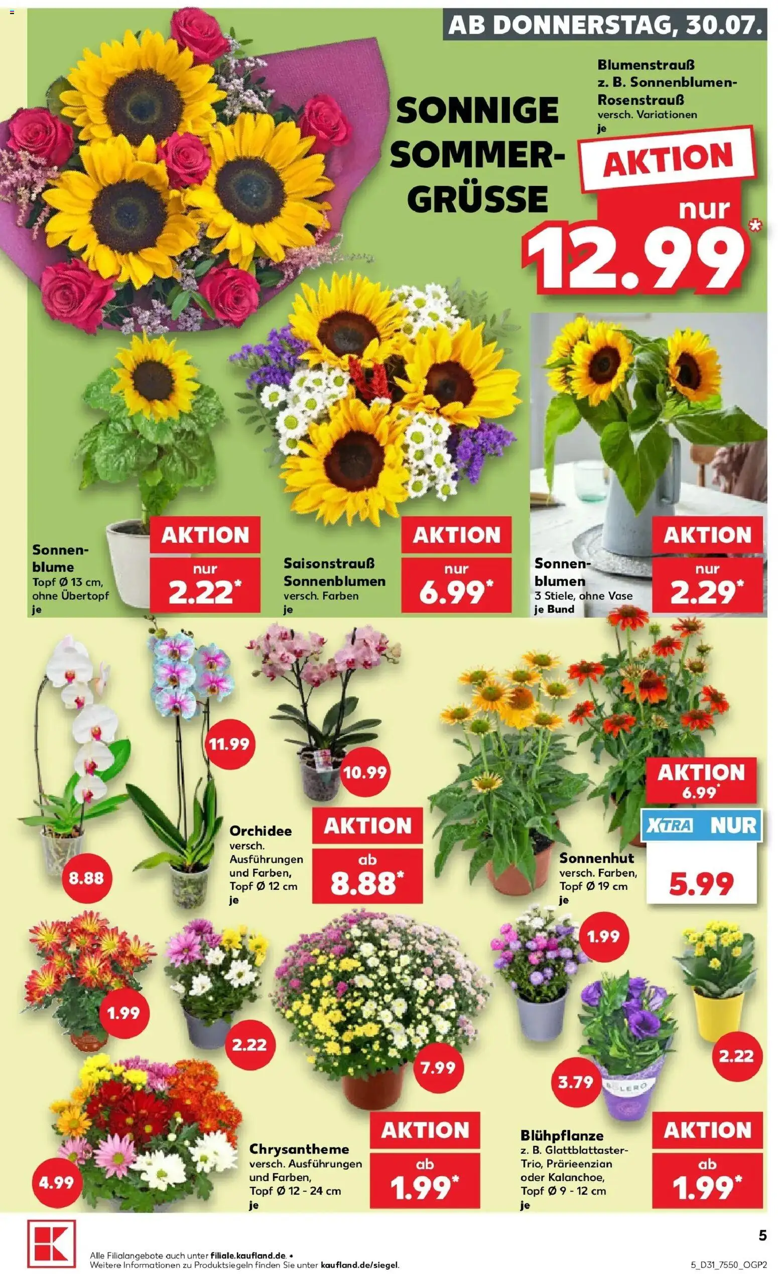 Kaufland Prospekt Buchen – gültig ab 30.07.2026 | Seite: 5 | Produkte: Orchidee, Blumen, Vase