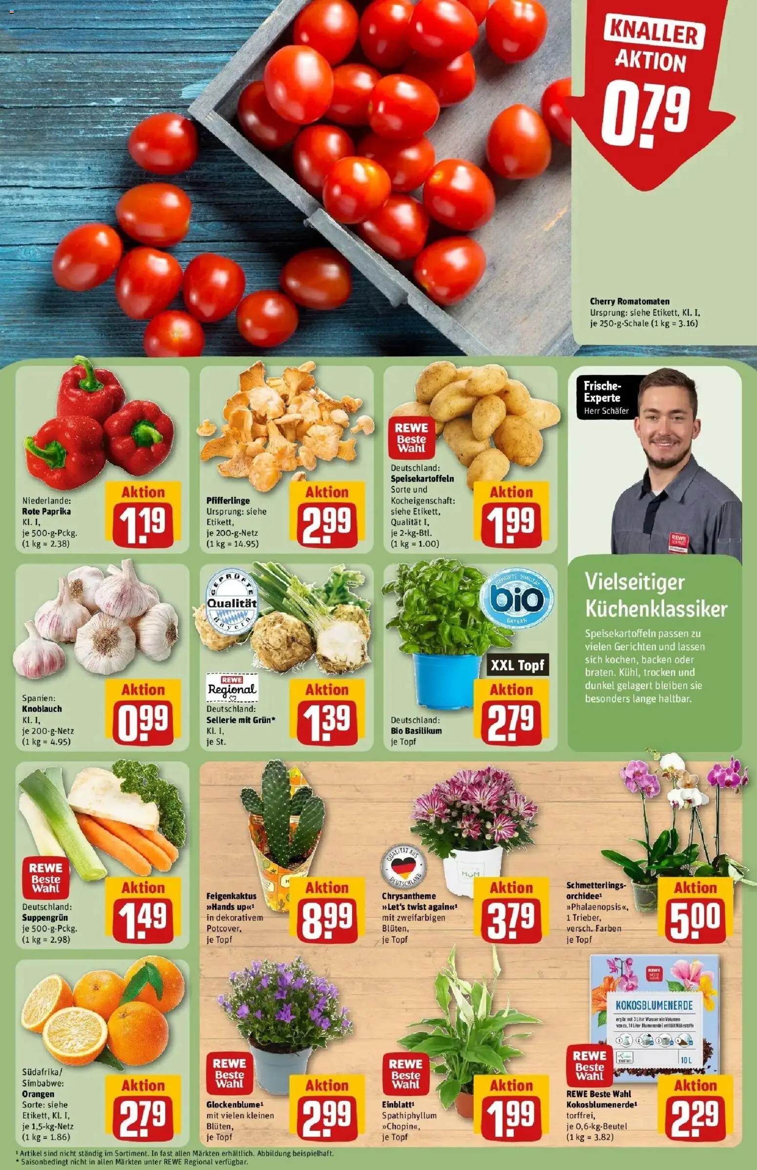 REWE Prospekt ab 10.08.2026 zum Blättern » Angebote | Seite: 5 | Produkte: Blumenerde, Wasser, Pfifferlinge, Rote Paprika