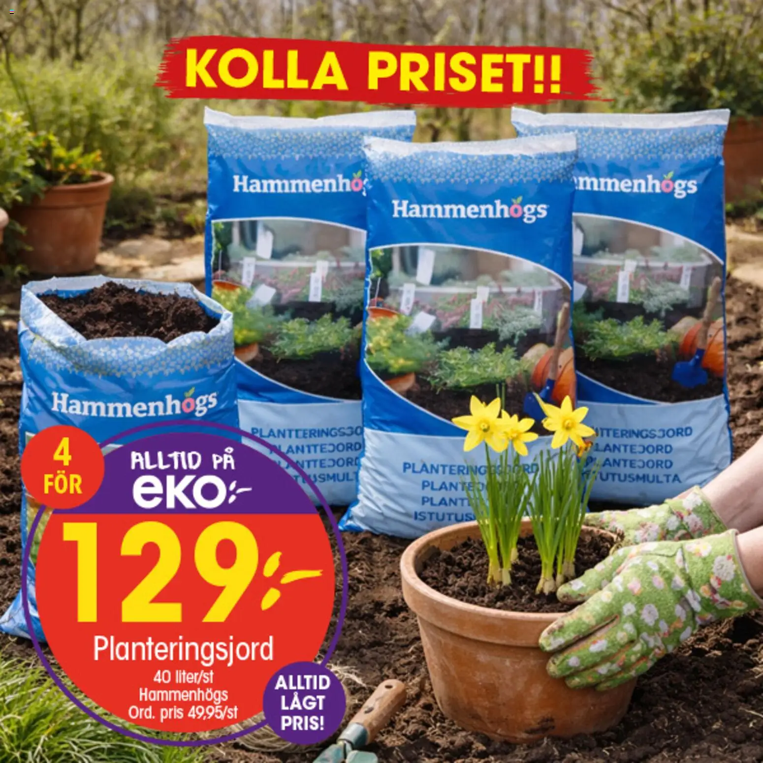 EKO reklamblad aktuell från 09/03/2026 | Sida: 10 | Produkter: Planteringsjord