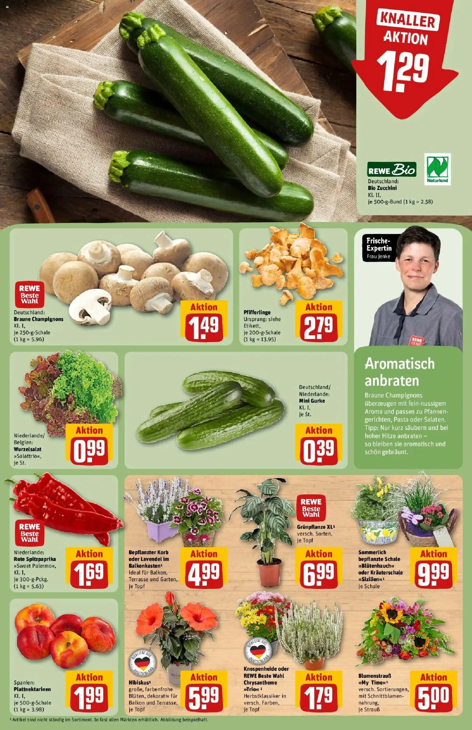 REWE Prospekt ab 17.08.2026 zum Blättern » Angebote | Seite: 9 | Produkte: Pfifferlinge, Pasta, Zucchini, Lavendel