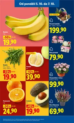 Náhled letáku Rukola, 125 g – balení, 100 g = 15,92 Kč od 05.10.2026 | Strana: 17 | Produkty: Vřes, Pomeranče, Banány, Avokádo