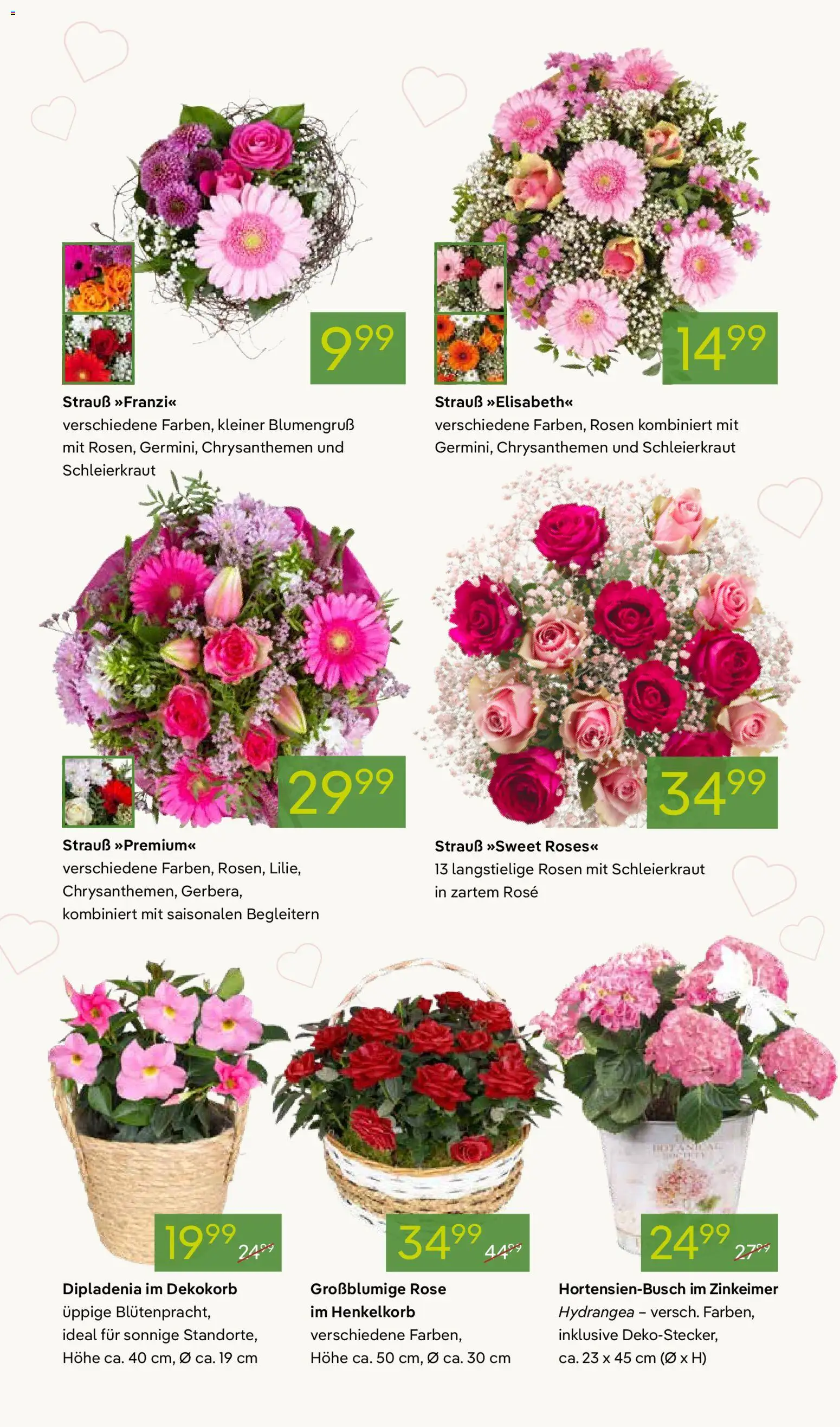 Pflanzen-Kölle Prospekt 	 – gültig ab 04.05.2026 | Seite: 3