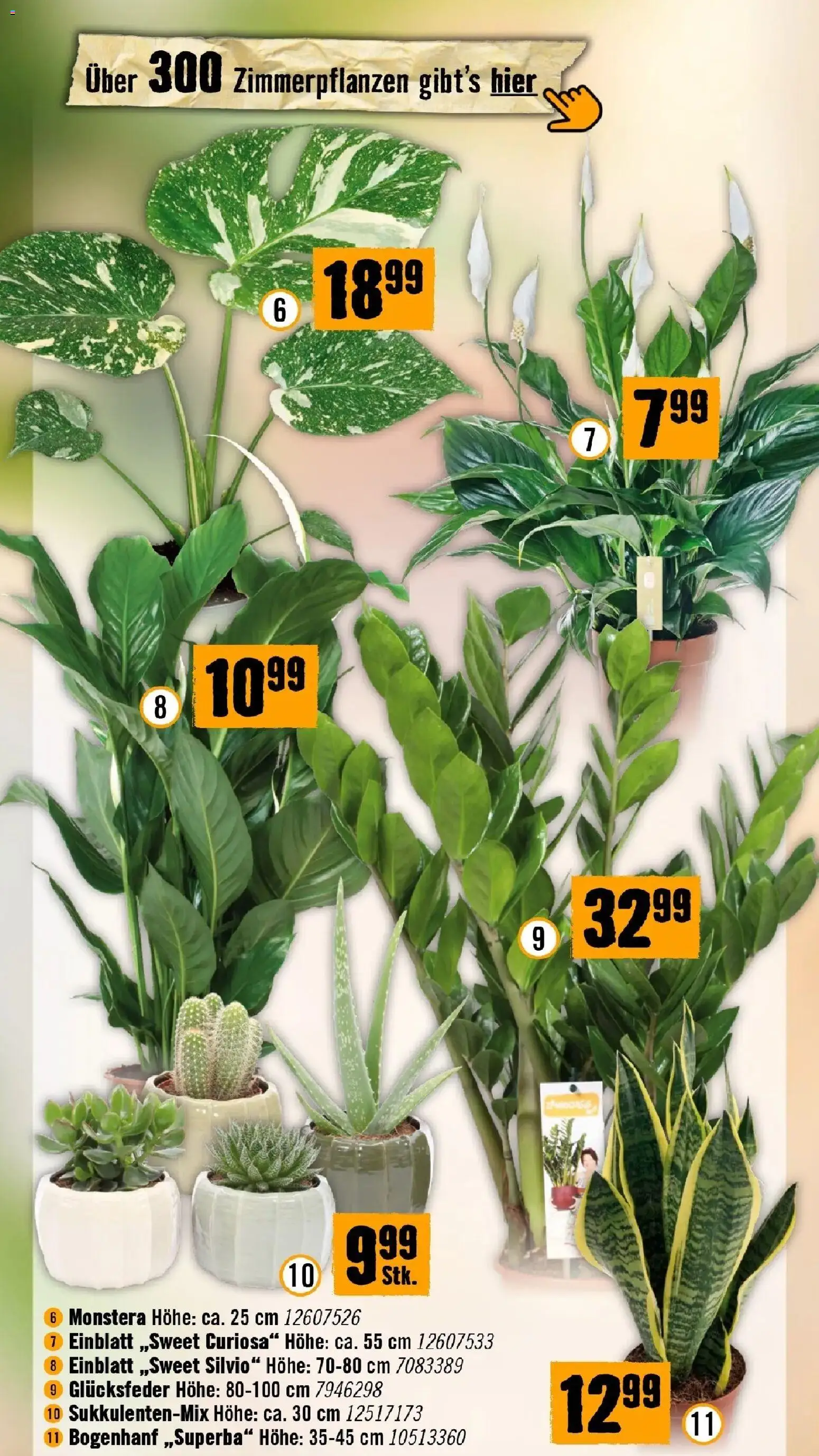 Hornbach - Hornbach: Es gibt immer was zu tun. von 16.09.2026 - Aktuelle Angebote | Seite: 43