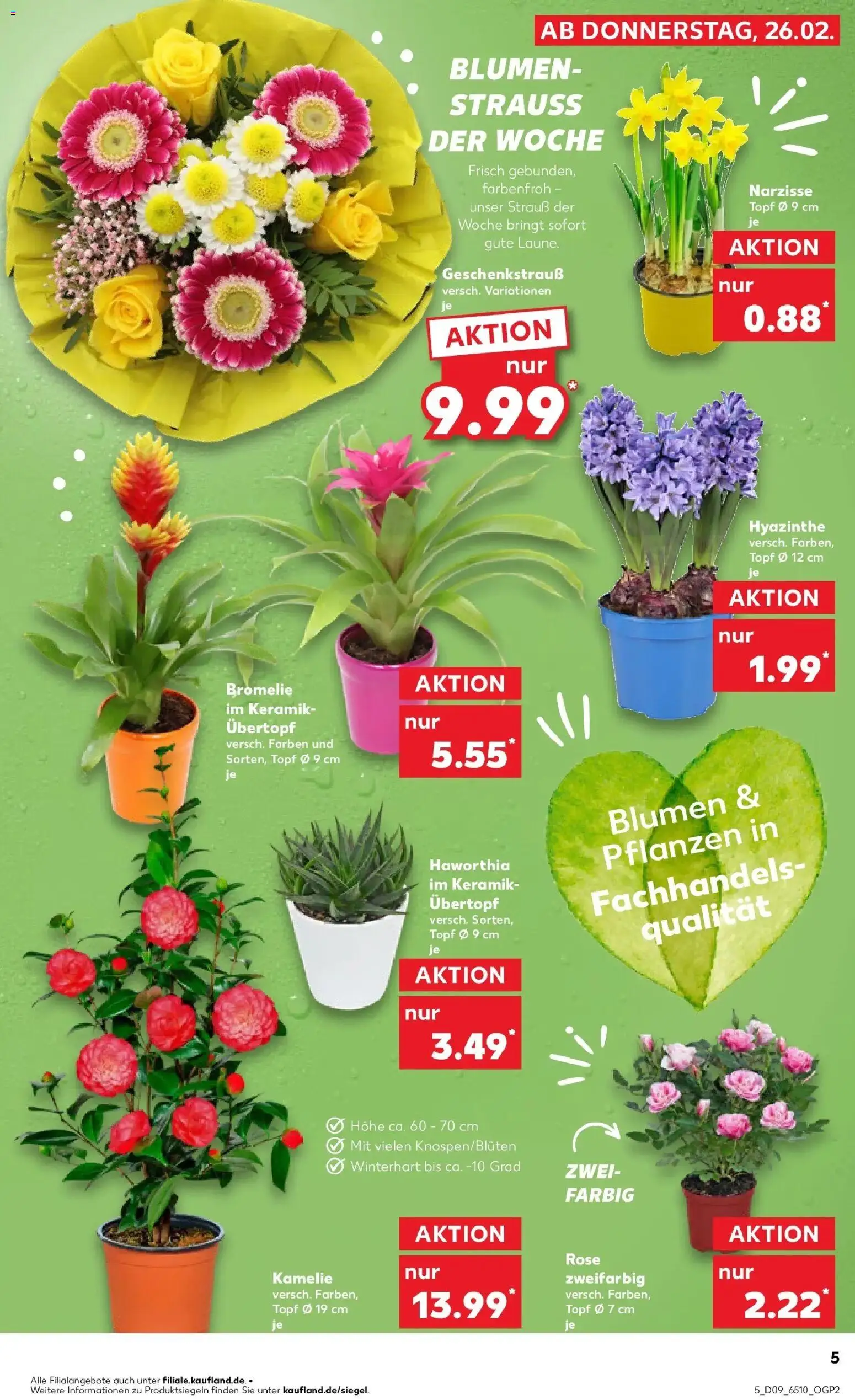 Kaufland prospekt Emmerich Am Rhein	 – gültig ab 26.02.2026 | Seite: 5 | Produkte: Blumen