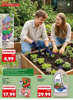 Pogląd oferty "Kaufland gazetka - Ogród" - ważna od 14.05.2026 | Strona: 4 | Produkty: Rosliny, Pomidory