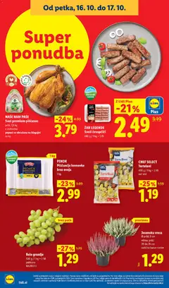 Lidl katalog akcije – veljaven od 15.10.2026 | Stran: 46
