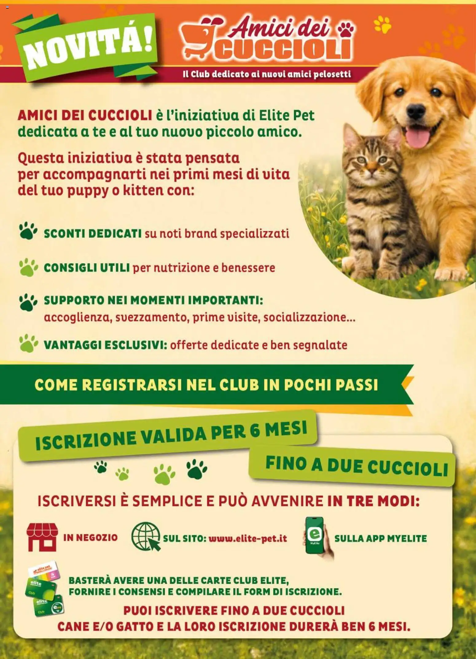 Volantino Elite Supermercati del 24/06/2026 | Pagina: 6 | Prodotti: Tè