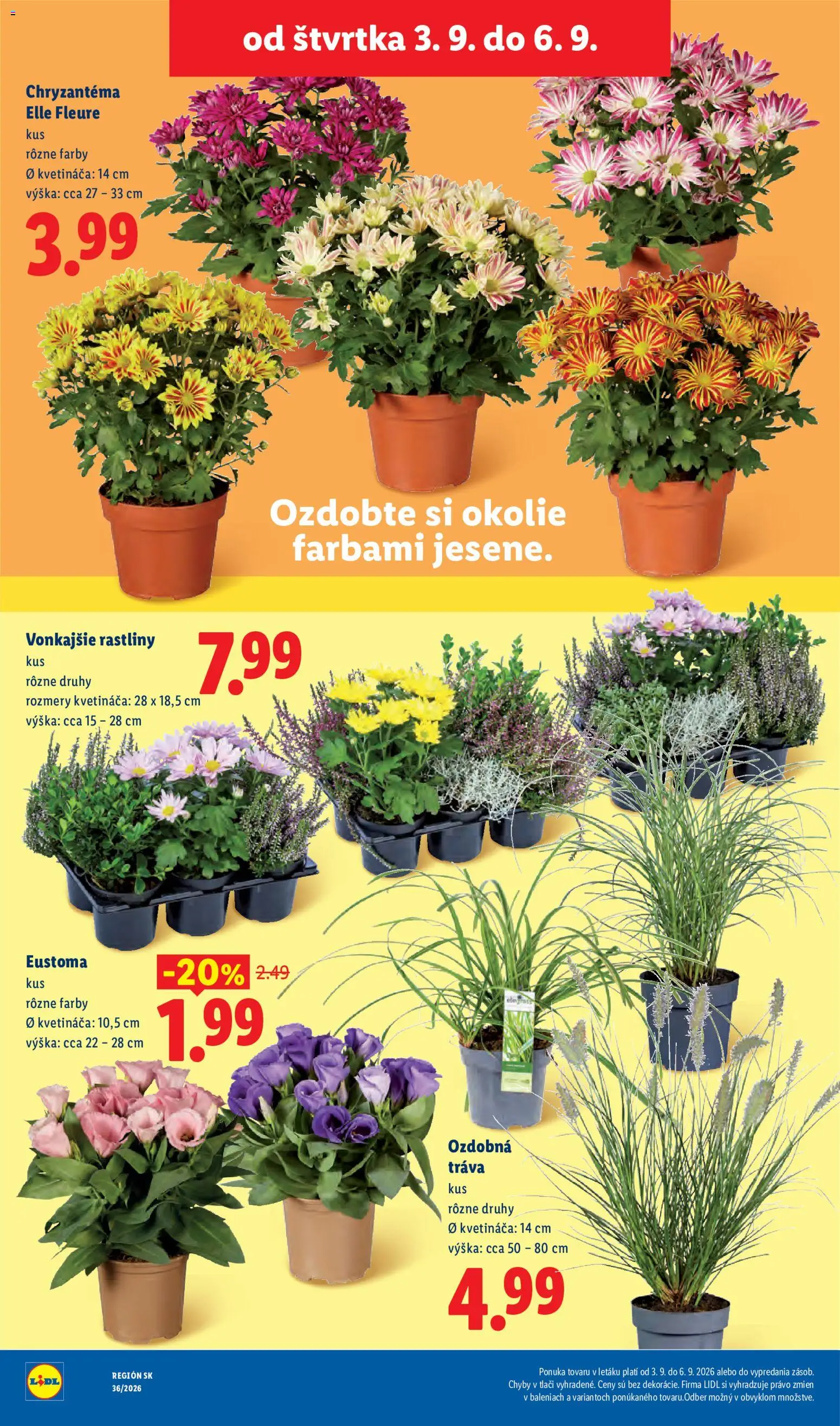 Nové Lidl akcie – leták je platný od 31.08.2026 | Strana: 90