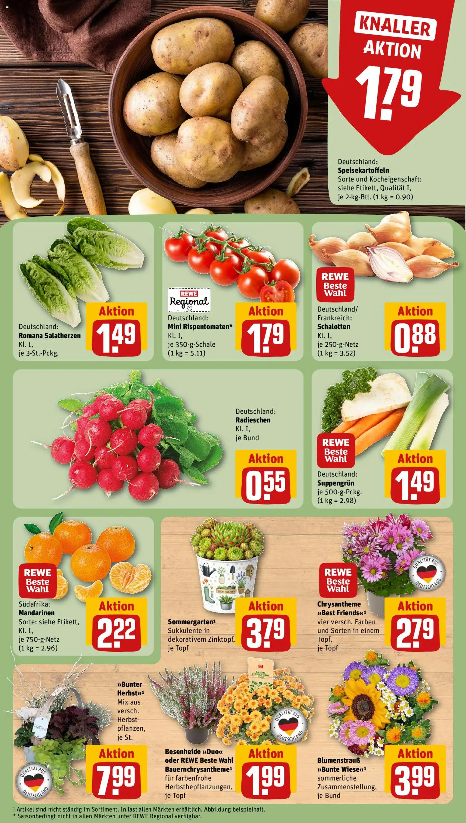 Rewe Prospekt – gültig ab 07.09.2026 | Seite: 7