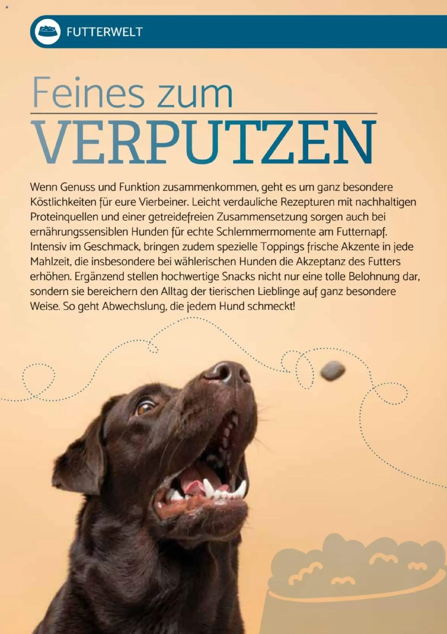 zookauf Heimtier Journal Special – gültig ab 01.08.2026 | Seite: 8