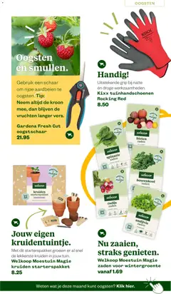 Welkoop folder - Zomermagazine - Voorbeeld van een folder van Welkoop, geldig van 22-06-2026 | Pagina: 5