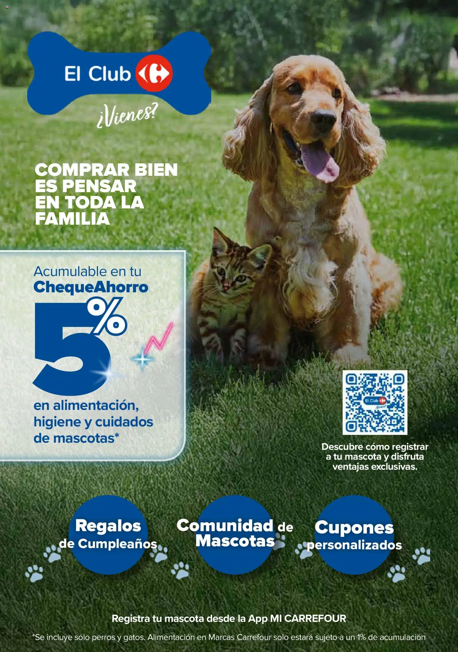 Carrefour Mascotas │ válido desde el 25/06/2026 | Página: 4