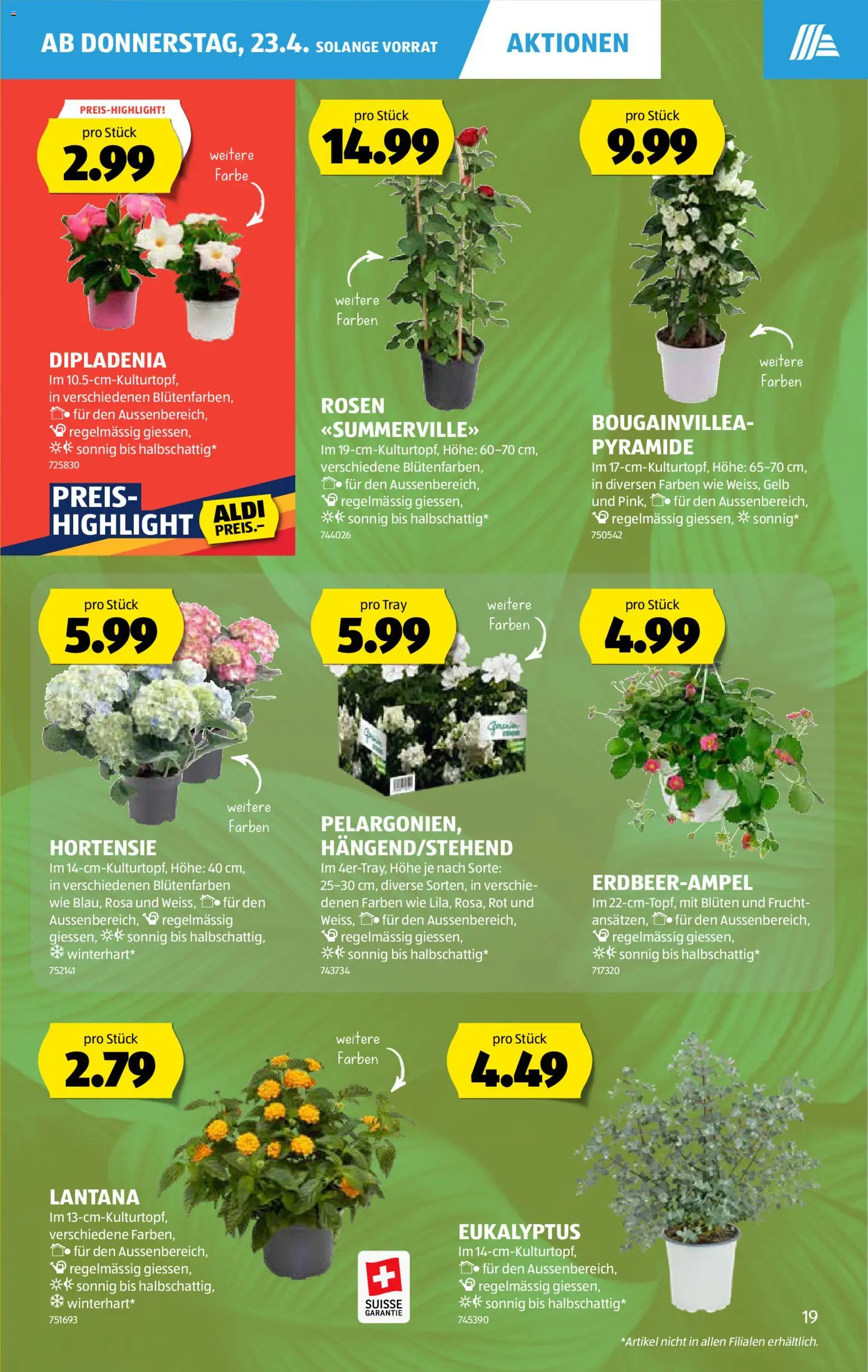 Aldi aktionen – gültig ab 23.04.2026 | Seite: 19