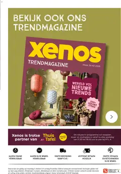 Xenos folder - Voorbeeld van een folder van Xenos, geldig van 04-10-2026 | Pagina: 29 | Producten: Folders, Tv, Decoratie
