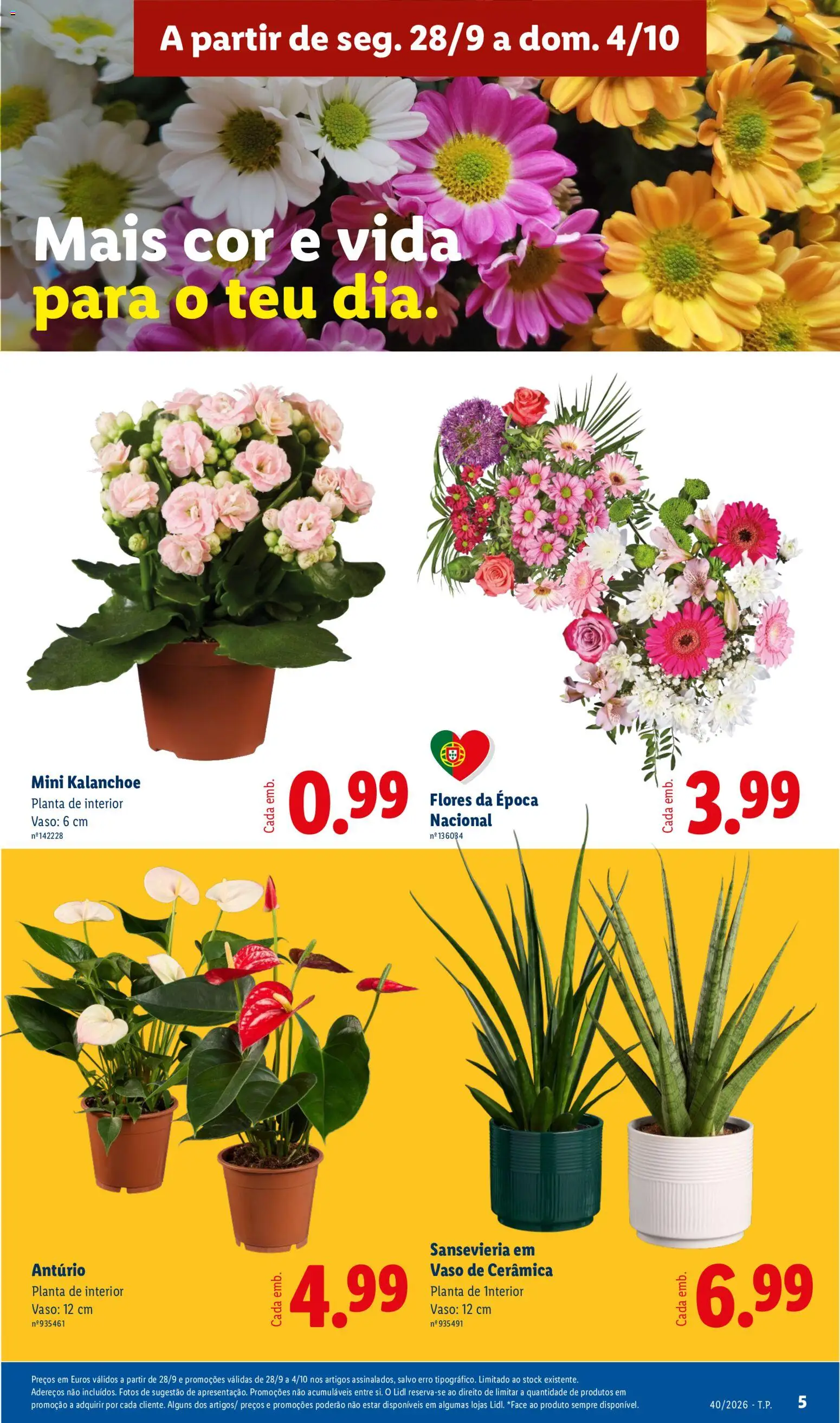 Lidl folheto │ válido de 28/09/2026 | Página: 5