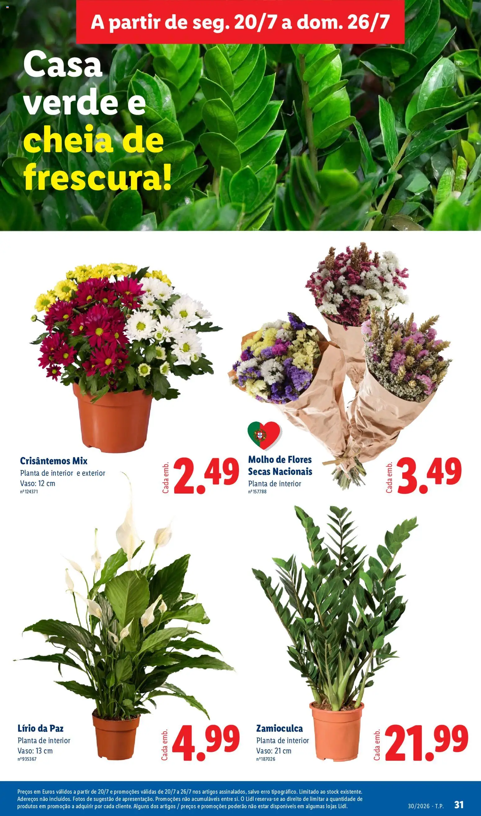 Lidl folheto │ válido de 20/07/2026 | Página: 31 | Produtos: Flores, Vaso