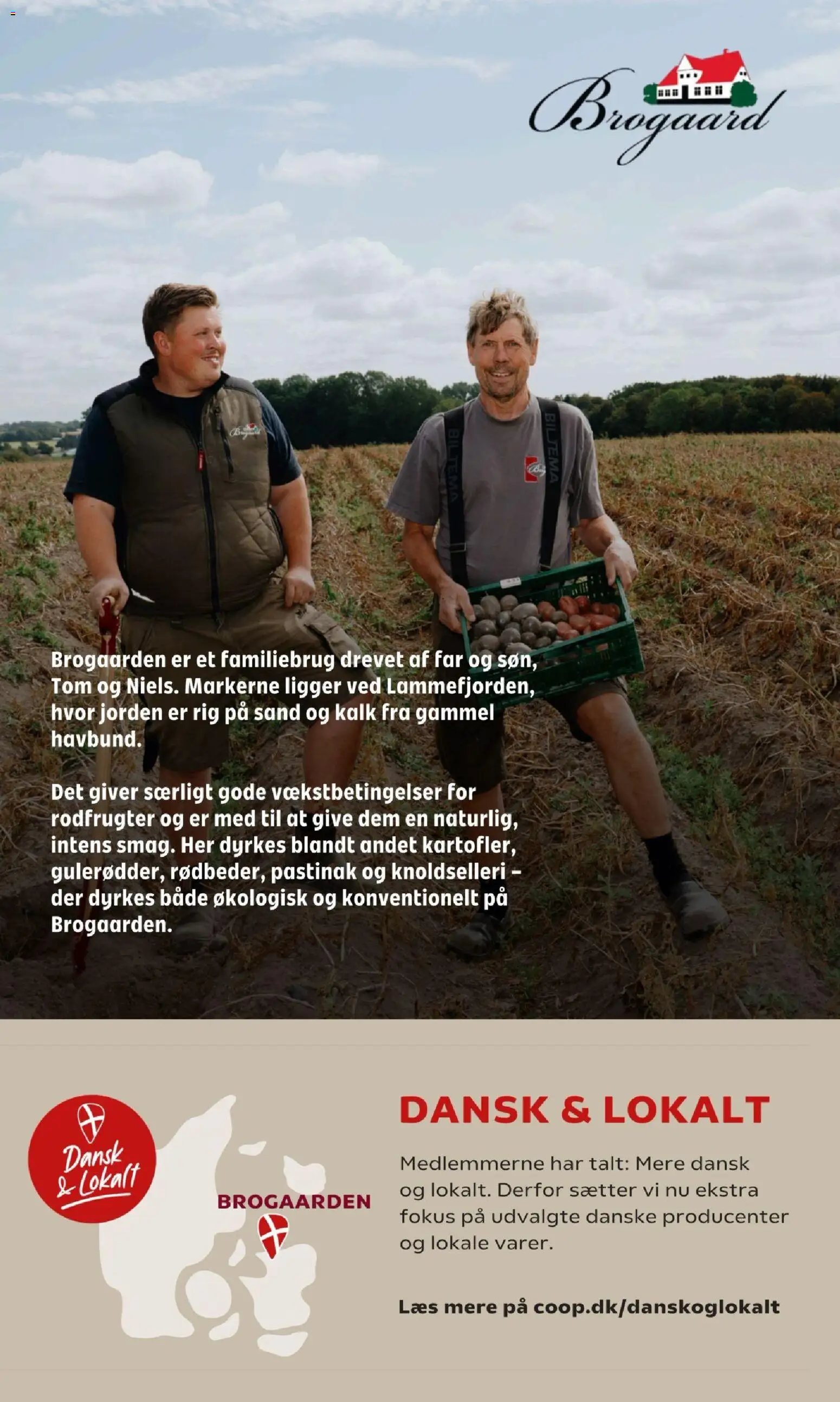 Coop 365 tilbudsavis – gyldig fra 15/10/2026 | Side: 23