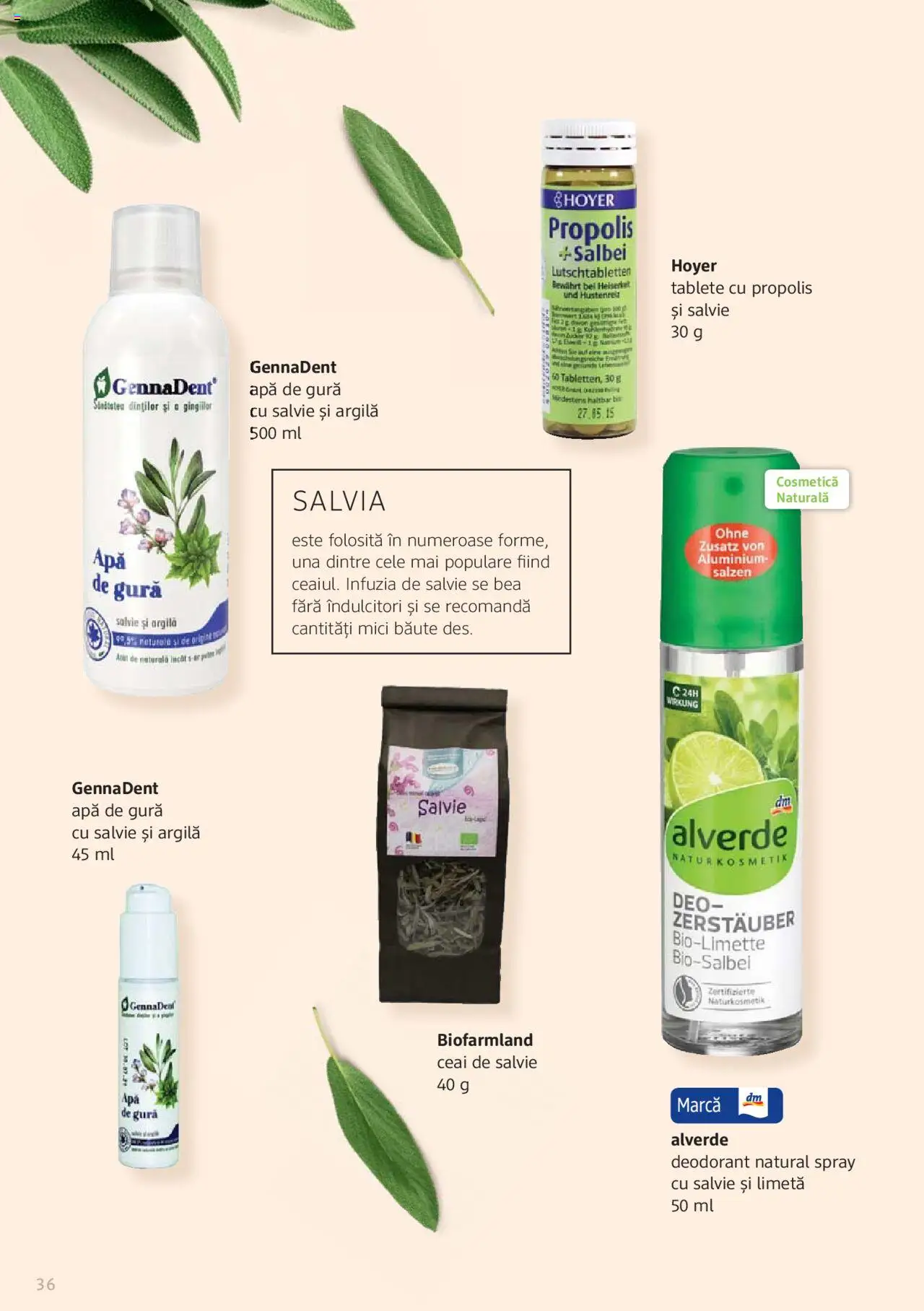 Noul catalog DM drogeriemarkt – valabil de la 01.01.2022 | Pagină: 36
