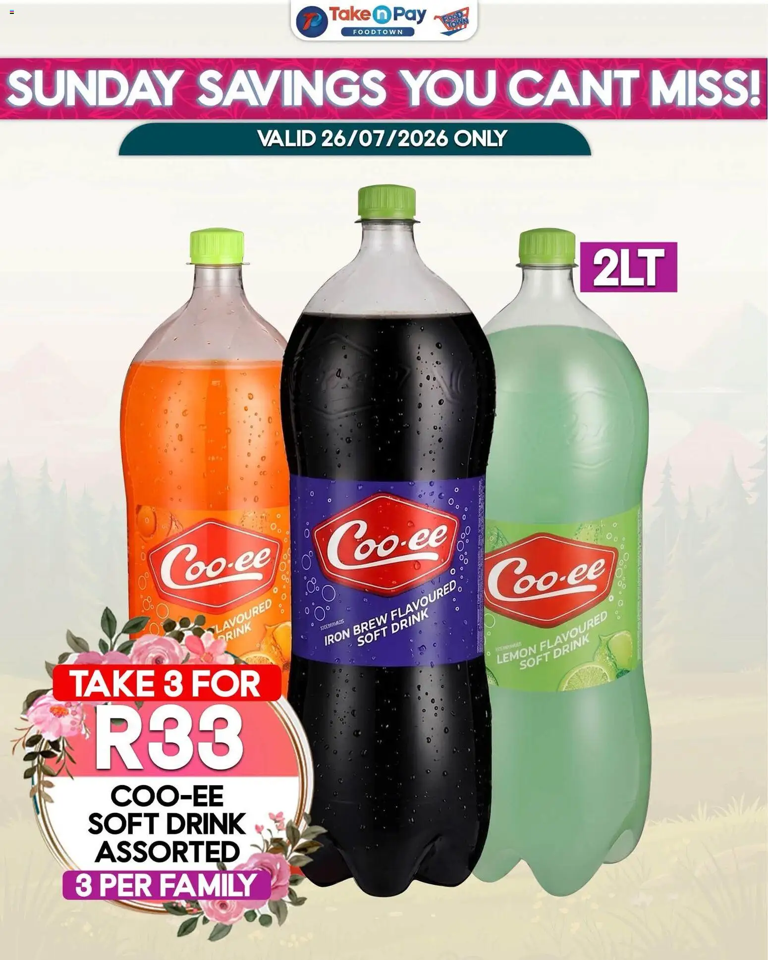 New Take n Pay catalogue – valid from 02/08/2026 | Page: 7 | Products: Iron, Lemon