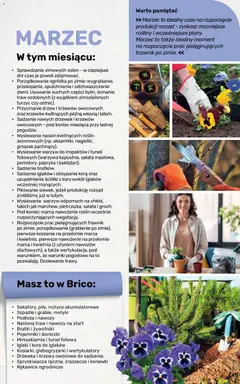 Pogląd oferty "Brico Marché gazetka - Jesienne Inspiracje" - ważna od 17.08.2026 | Strona: 102